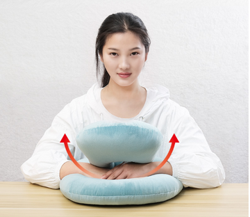 Travel Neck Pillow with Armrest